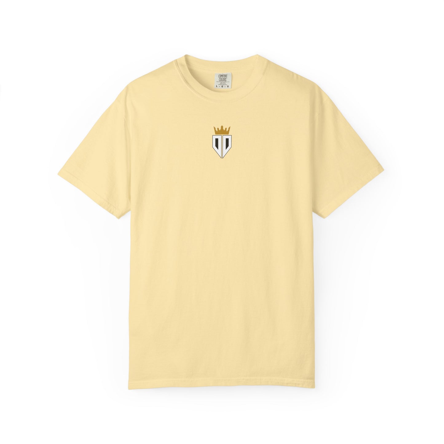 Pride Precision Perfection Back T-Shirt